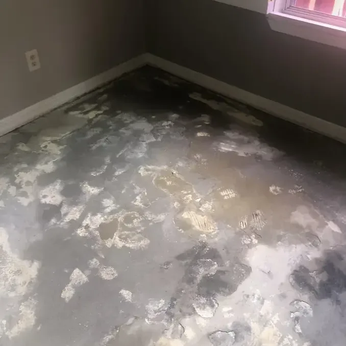Standing water on a bedroom floor before extraction