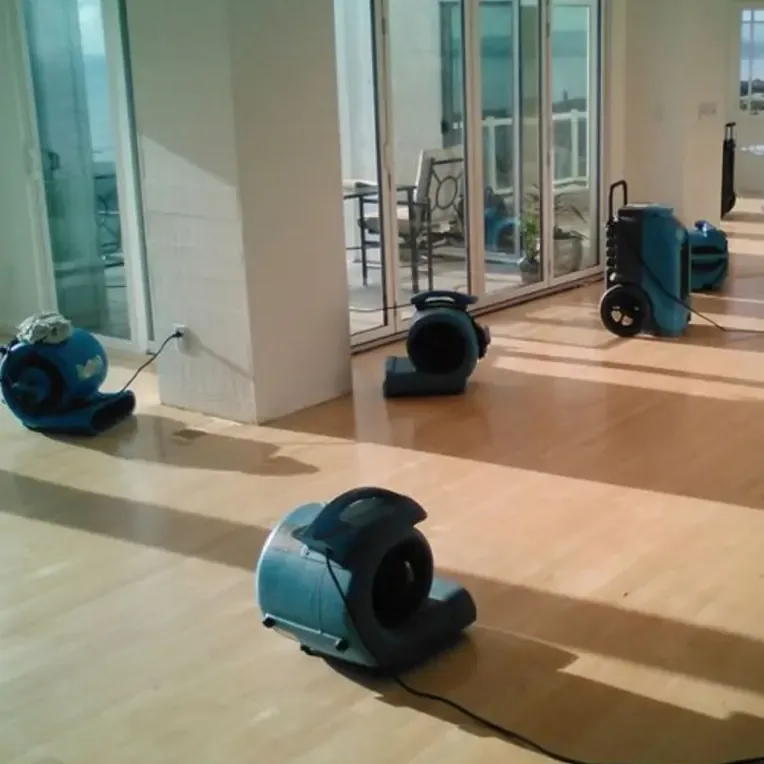 Blue air movers drying a wood floor beside glass patio doors