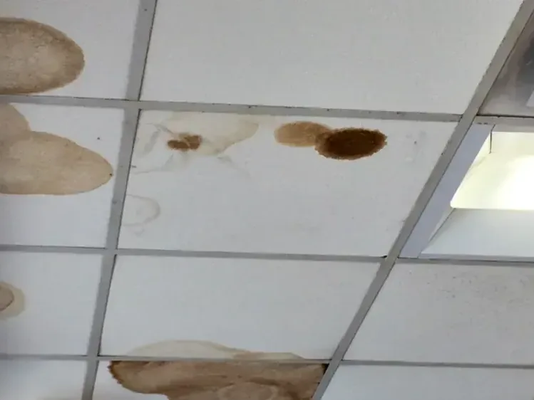 Water-stained drop ceiling tiles in a commercial space, commercial water damage