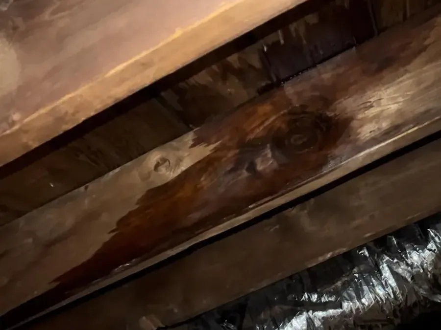 Water-stained rafters in an attic below a roof leak