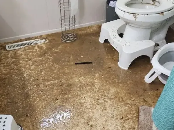Sewage sludge covering a bathroom floor around a toilet, sewage backup cleanup